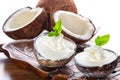 Coconut ice creams Royalty Free Stock Photo