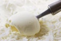 Coconut ice crean Royalty Free Stock Photo