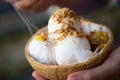 Coconut ice crean Royalty Free Stock Photo