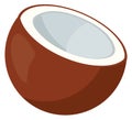 Coconut icon. Cartoon exotic beach palm nut