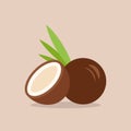 Coconut icon in flat style