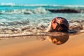 Coconut beside indian ocean water and sand Royalty Free Stock Photo