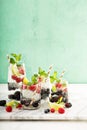 Coconut or infused water with fresh berries Royalty Free Stock Photo