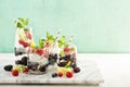 Coconut or infused water with fresh berries Royalty Free Stock Photo