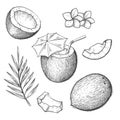 Coconut ingredients engraving