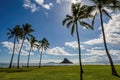 Coconut island scenery