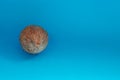 Coconut isolated on blue Background. Clipping Path