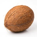 Coconut isolated on transparent background Royalty Free Stock Photo