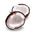 Coconut isolated on white