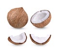 Coconut Isolated on white background Royalty Free Stock Photo