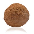 Coconut