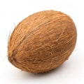 Coconut isolated on white background Royalty Free Stock Photo