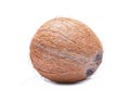 Coconut isolated on white backgrpund Royalty Free Stock Photo