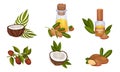 Coconut and Jojoba Organic Compositions with Tropical Leaves and Oil Bottles Vector Set