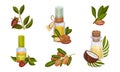 Coconut and Jojoba Organic Compositions with Tropical Leaves and Oil Bottles Vector Set