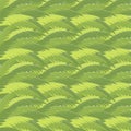 Coconut Leaf Background and Wallpaper