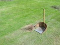 Coconut leaf broom and bamboo dustpan on green grass field Royalty Free Stock Photo