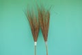 Coconut leaf broom on green background. Royalty Free Stock Photo