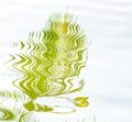 Coconut leaf reflect form water Royalty Free Stock Photo