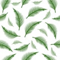 Coconut leaf vector seamless pattern Royalty Free Stock Photo