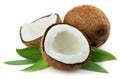 Coconut with leaves Royalty Free Stock Photo