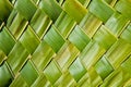 Coconut leaves Royalty Free Stock Photo