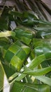 Coconut leaves as food wrapper