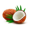 Coconut with leaves.