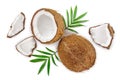 Coconut with leaves isolated on white background. Top view. Flat lay