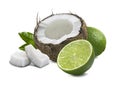 Coconut lime pieces leaf isolated on white background Royalty Free Stock Photo