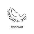 Coconut line icon in vector, nut illustration