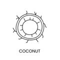 Coconut line icon in vector, nut illustration