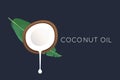 Coconut logo. Half of the coconut with flowing milk and a palm leaf. vector illustration