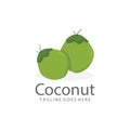 Natural Young Coconut Flat Design Logo Template