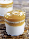 Coconut and mango blancmange Royalty Free Stock Photo