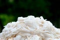 Coconut meat Royalty Free Stock Photo