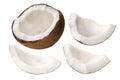 Coconut meat c. nucifera kernel, paths Royalty Free Stock Photo