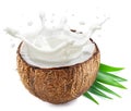 Coconut milk flying out from cracked coconut fruit. File contains clipping path Royalty Free Stock Photo