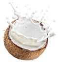 Coconut milk flying out from cracked coconut fruit. File contains clipping path Royalty Free Stock Photo