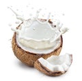 Coconut milk flying out from cracked coconut fruit and piece of fruit near it. File contains clipping path Royalty Free Stock Photo