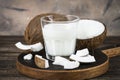 Coconut milk in glass, Vegan milk.