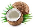 Coconut milk in the half of coconut fruit isolated on white background Royalty Free Stock Photo