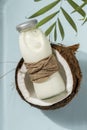 Coconut milk, lactose free product, healthy food ingredient