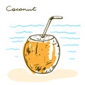 Coconut milk. refreshing drinks on the beach. color vector illustration