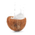 Coconut milk splash from coconut halves on white isolated background, freeze motion