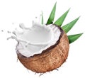 Coconut with milk splash inside. Royalty Free Stock Photo