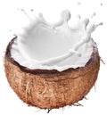 Coconut with milk splash inside. Royalty Free Stock Photo