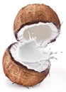Coconut with milk splash inside. Royalty Free Stock Photo
