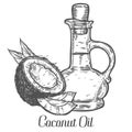 Coconut nut oil bottle, leaf, plant. Hand drawn engraved vector sketch etch illustration. Royalty Free Stock Photo