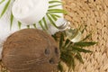 Coconut oil for alternative therapy Royalty Free Stock Photo